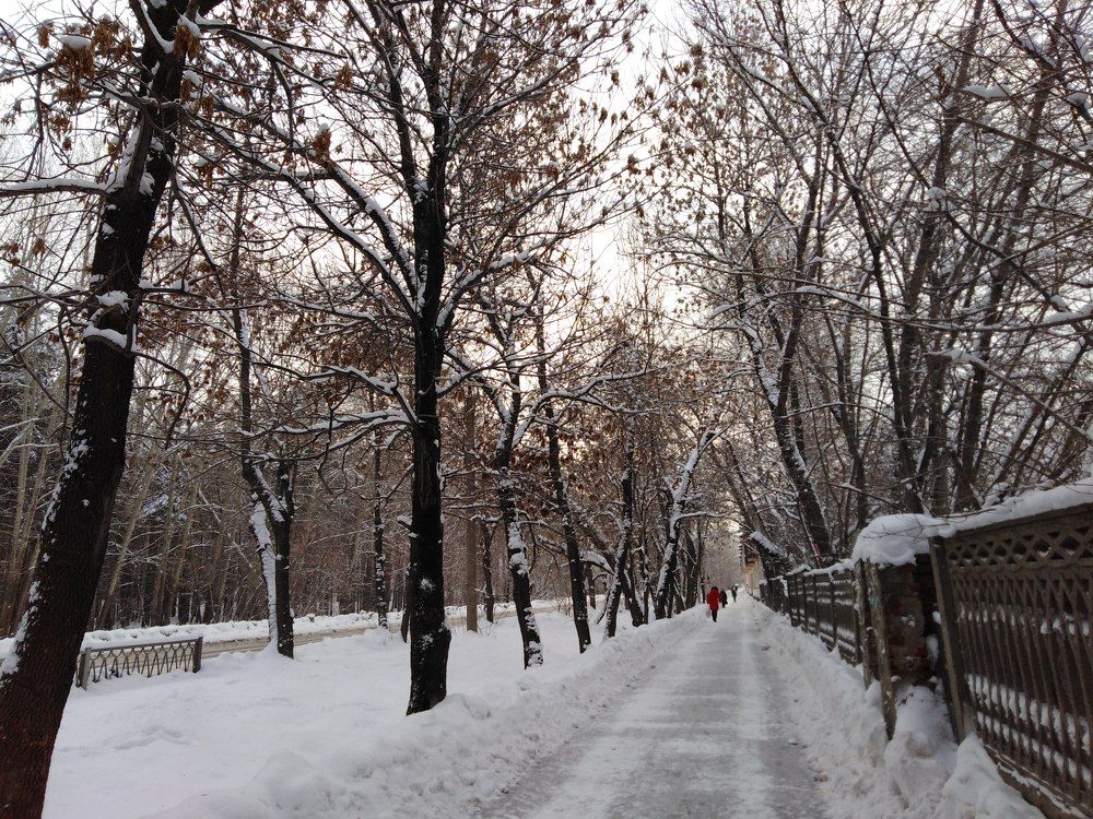 Photograph by Надежда Яковлева