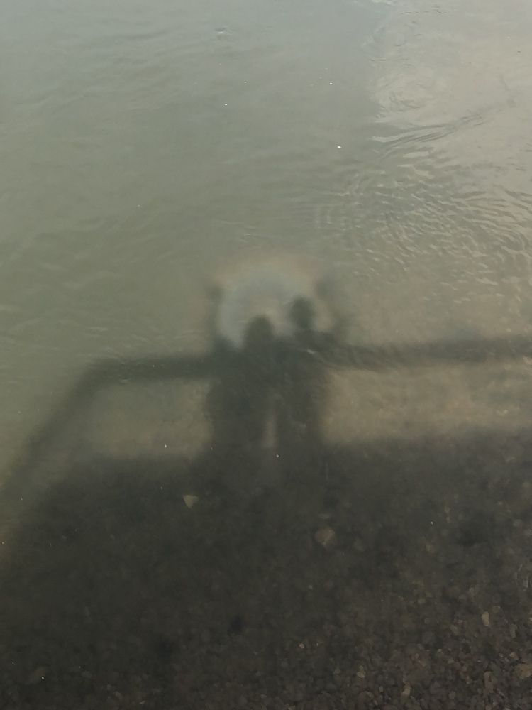 Фотография автора Светлана Гончарова