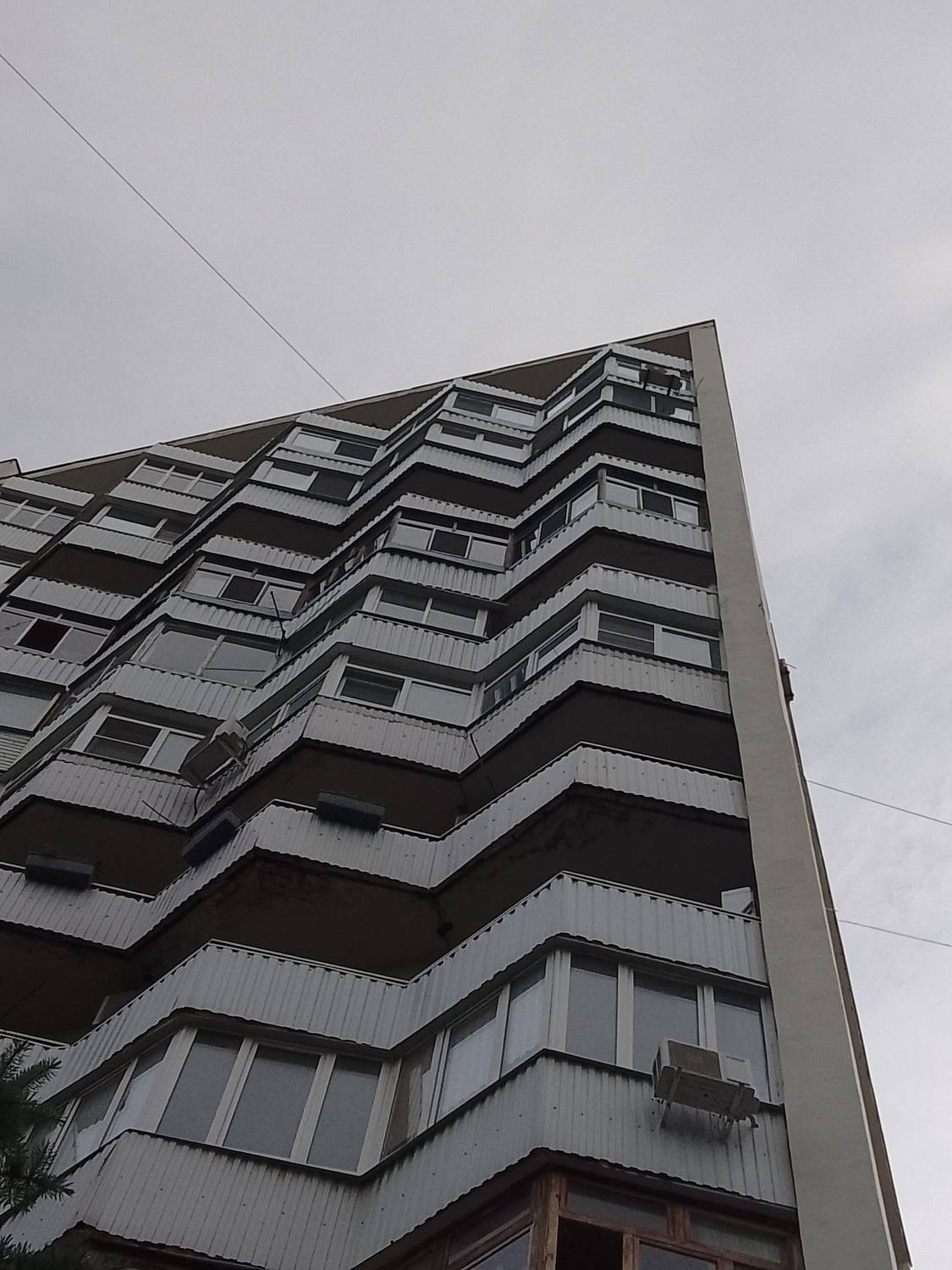 Photo #11737661