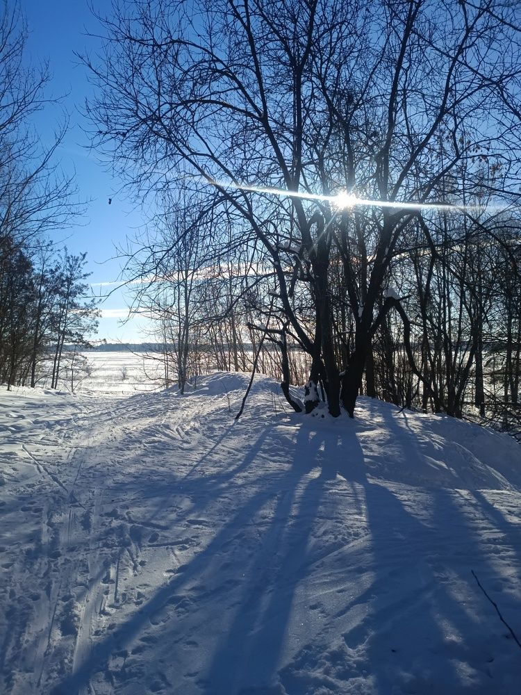 Photograph by Елена Пархоменко