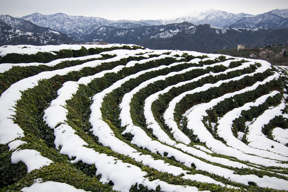 Photograph by Arasya