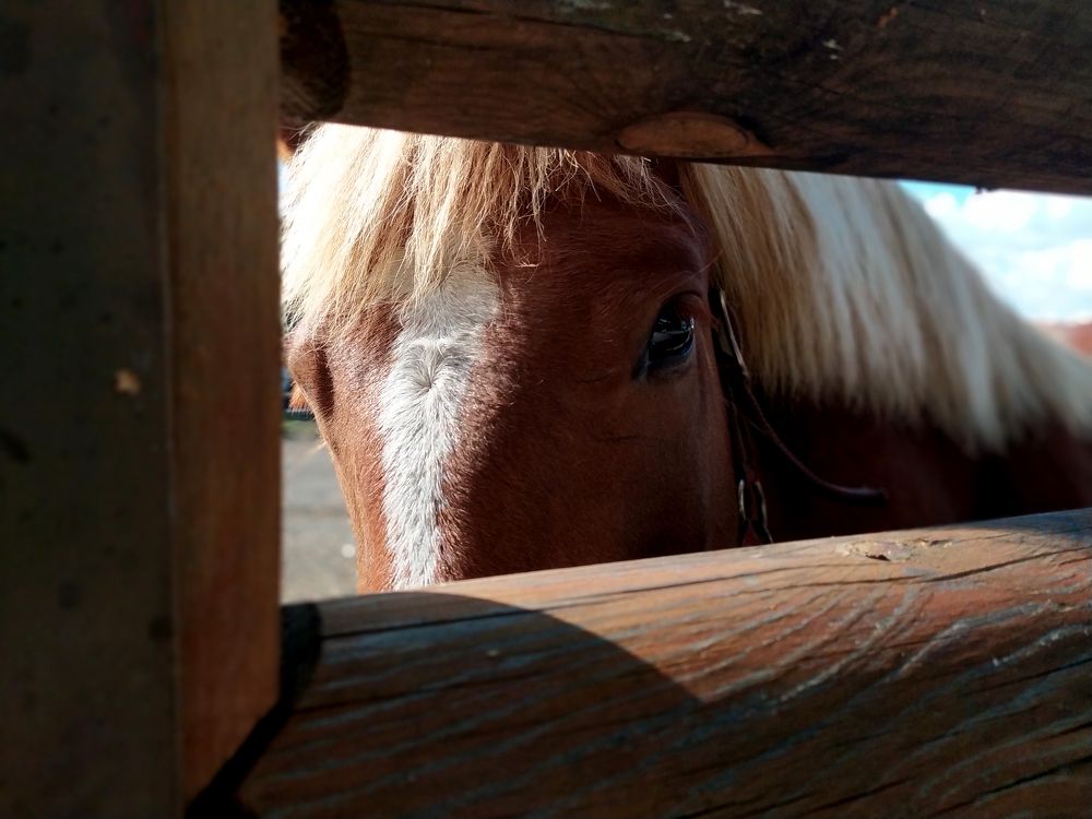 Photograph by Игорь Быков