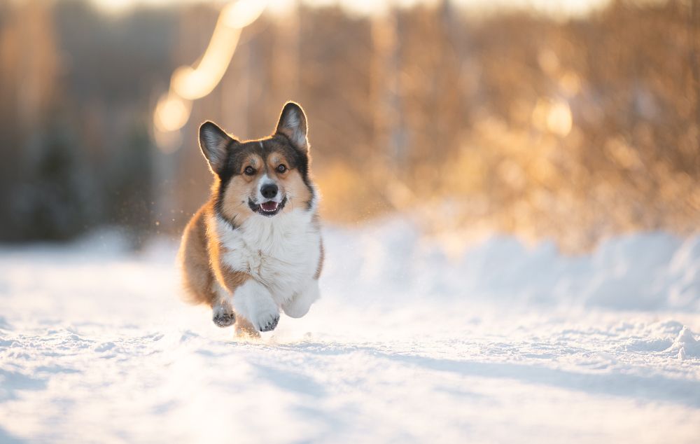 Photograph by Анна Орлова