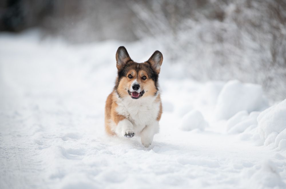 Photograph by Анна Орлова