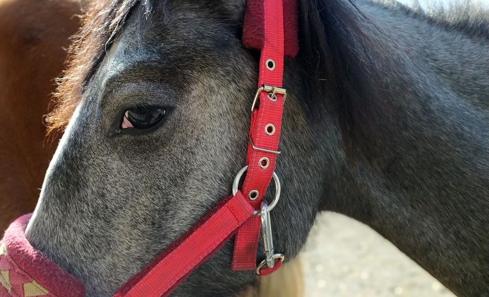 Photograph by Игорь Быков