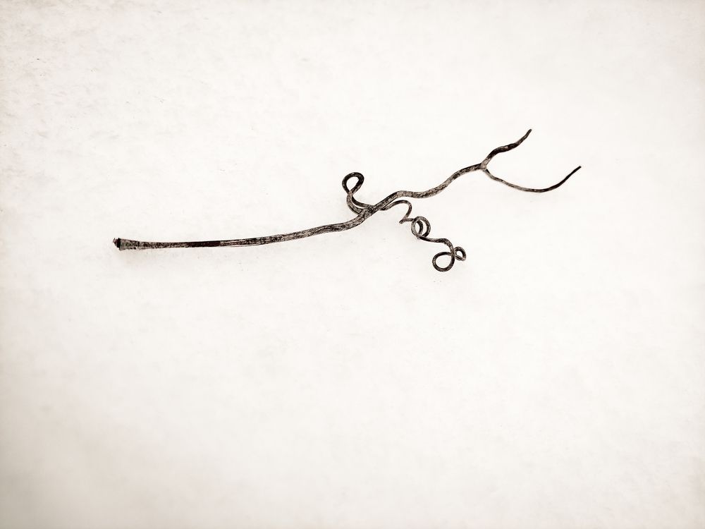 Photograph by Кристина Полякова