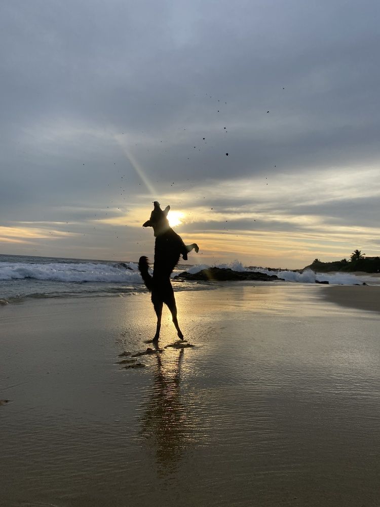 Photograph by Janine Rodríguez