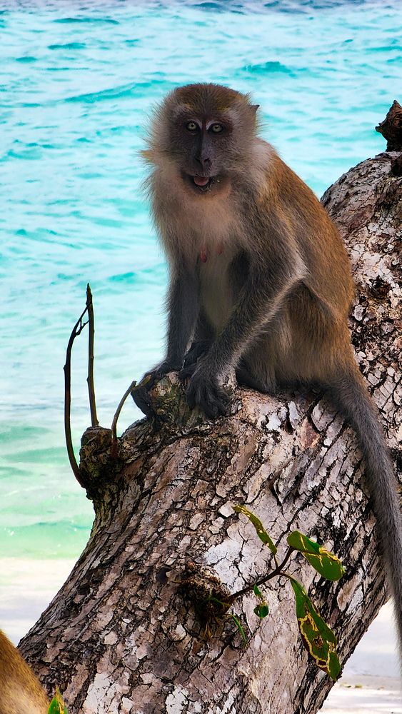 Photograph by Алина Орлова