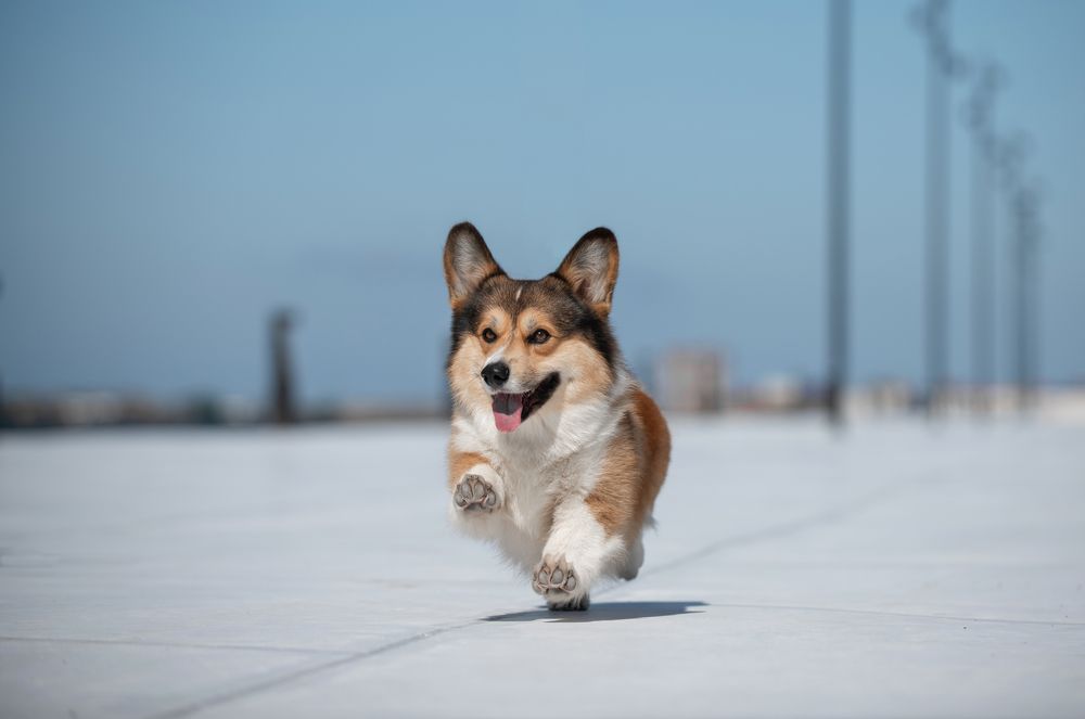 Photograph by Анна Орлова