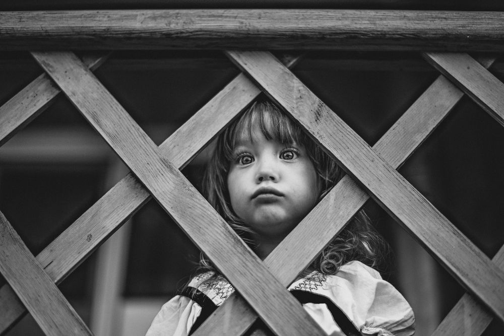 Фотография автора Алена Приподаева