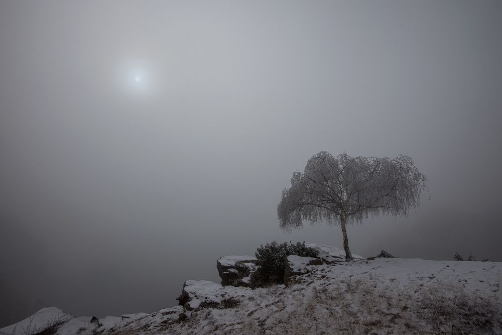 Photograph by Хасан Журтов