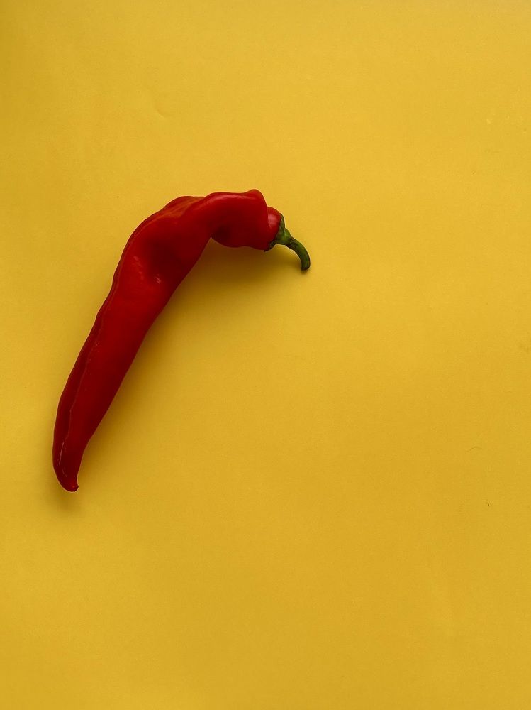 Photograph by Yulia Kotova