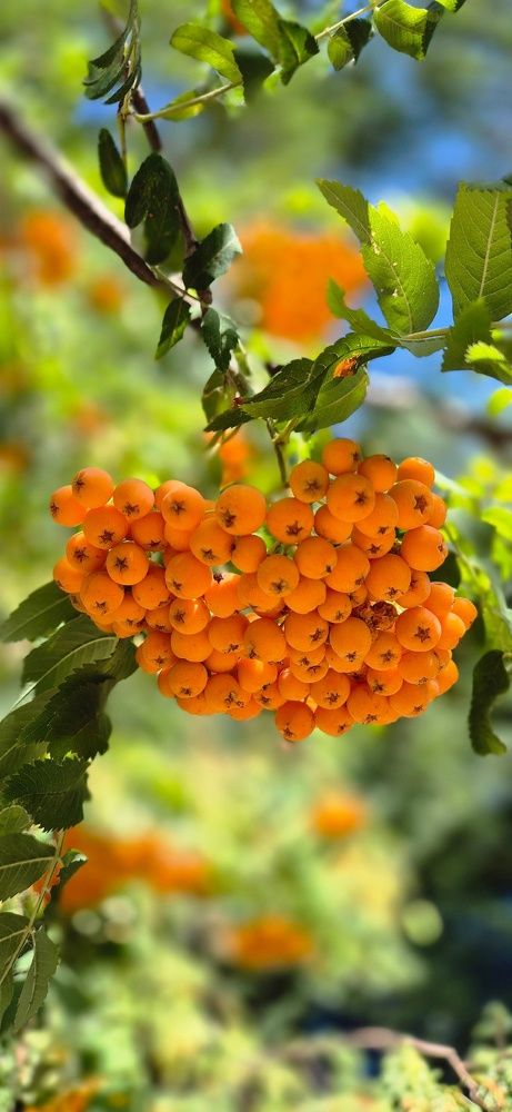 Photograph by Ольга Мусина