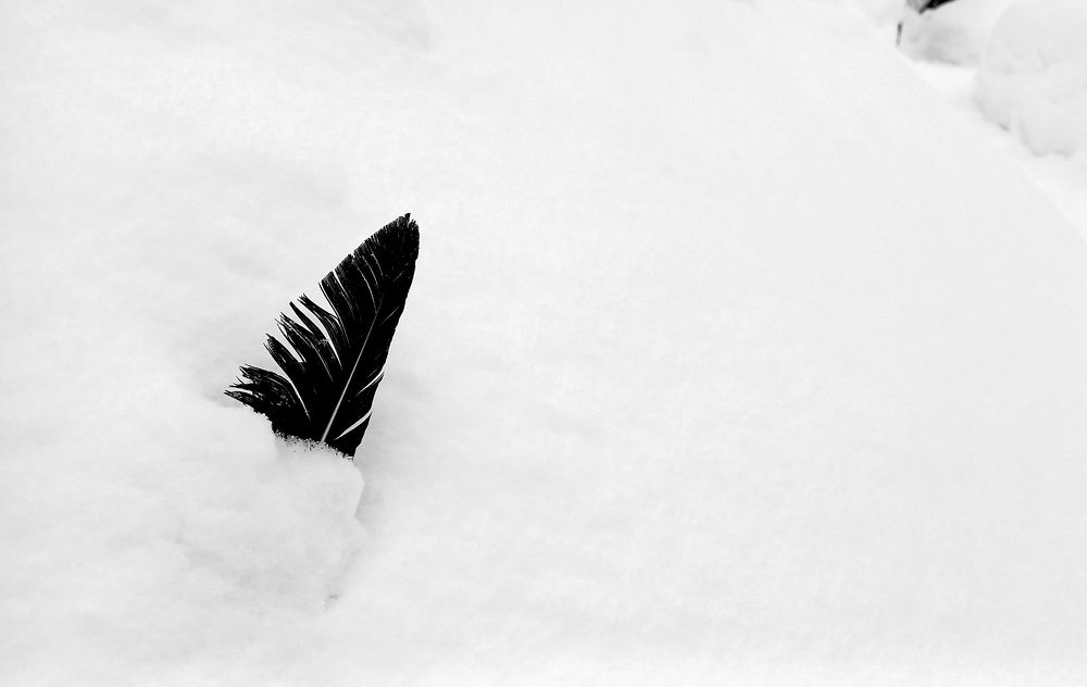 Photograph by Назмутдинова Сауия