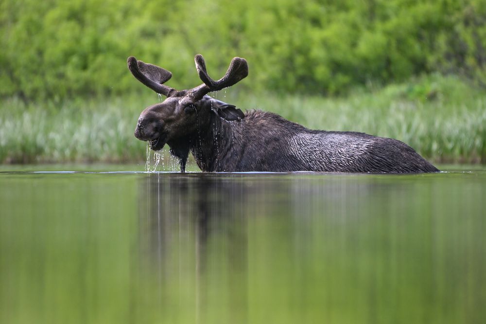 Photograph by Jorn Vangoidtsenhoven