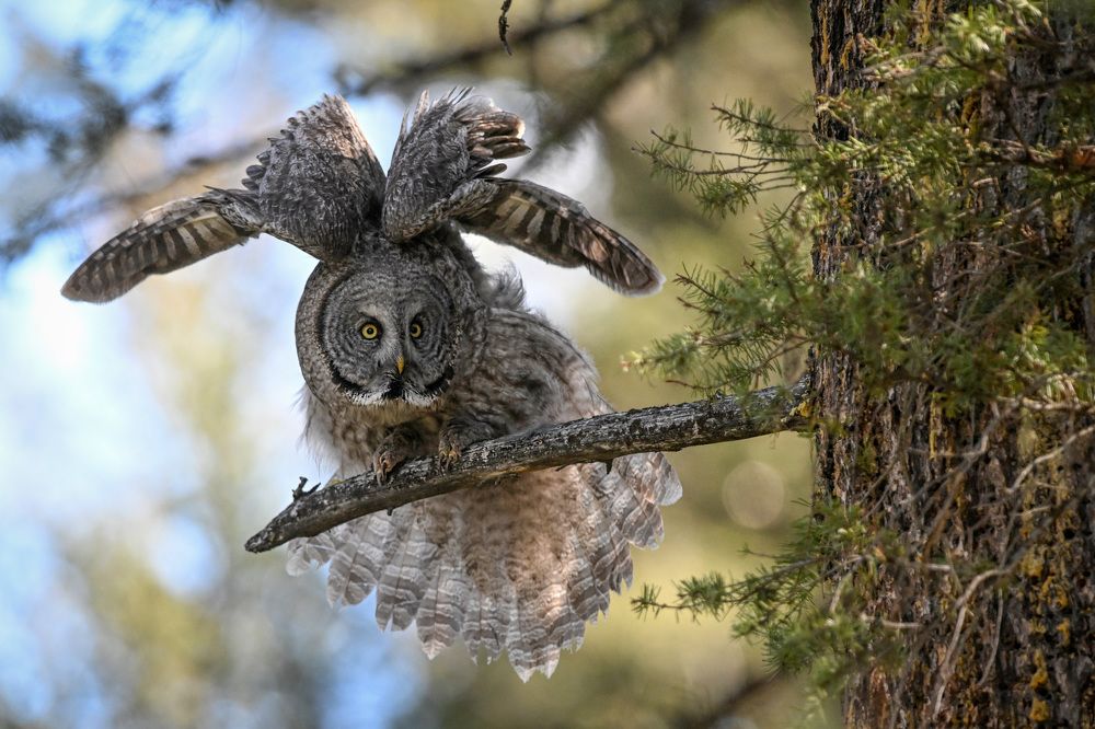 Photograph by Jorn Vangoidtsenhoven