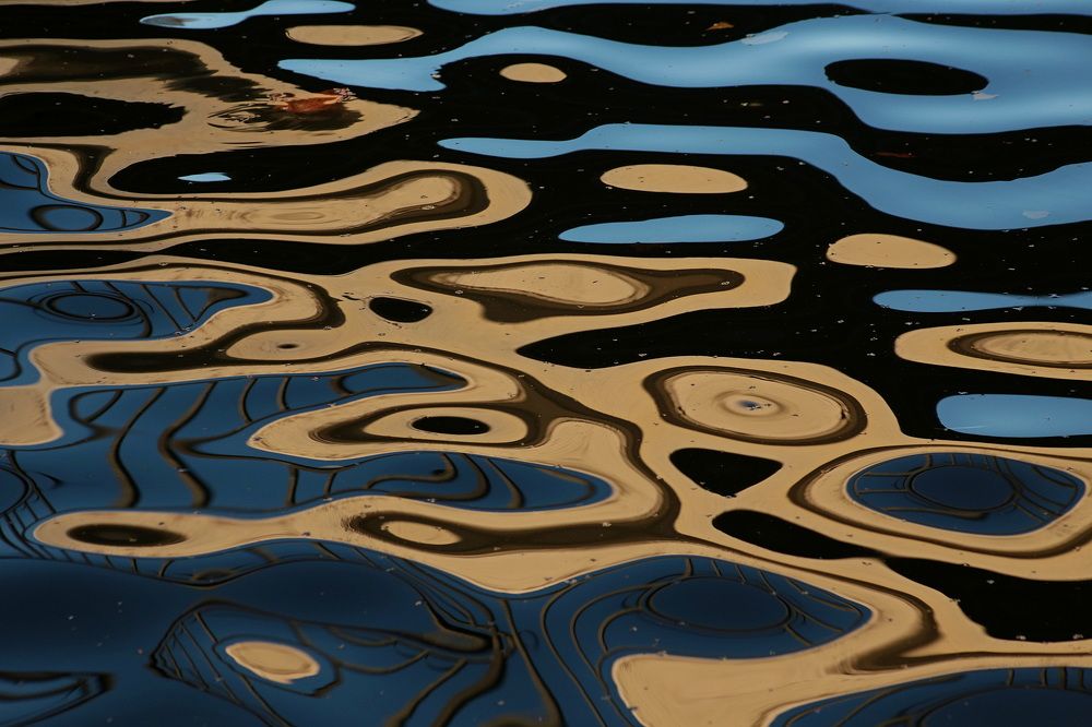 Фотография автора Александр Кожевников