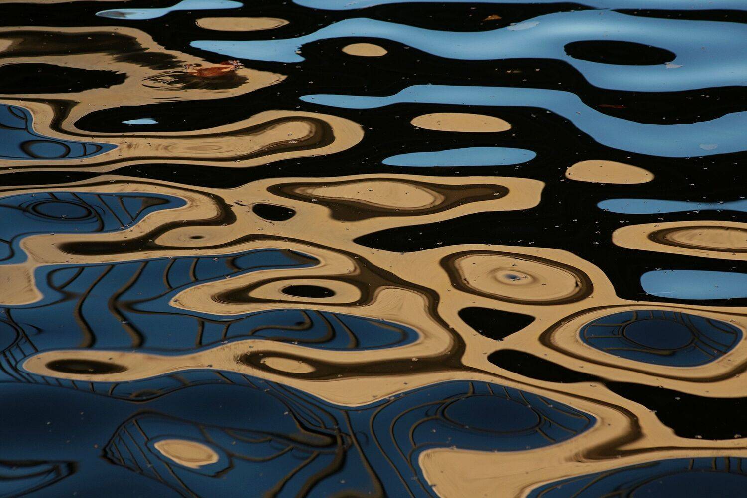 Фотография #11737984