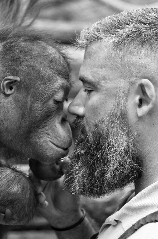 Фотография автора Елена Кириллова