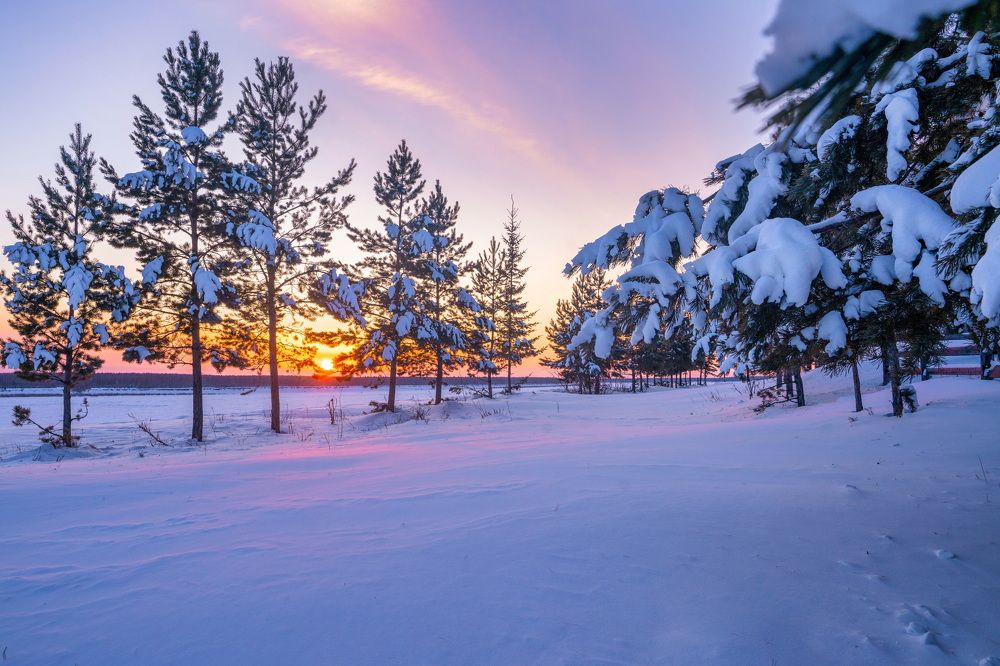 Сиреневые сумерки. Якутия