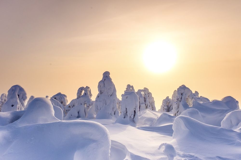Photograph by Дулова Анастасия