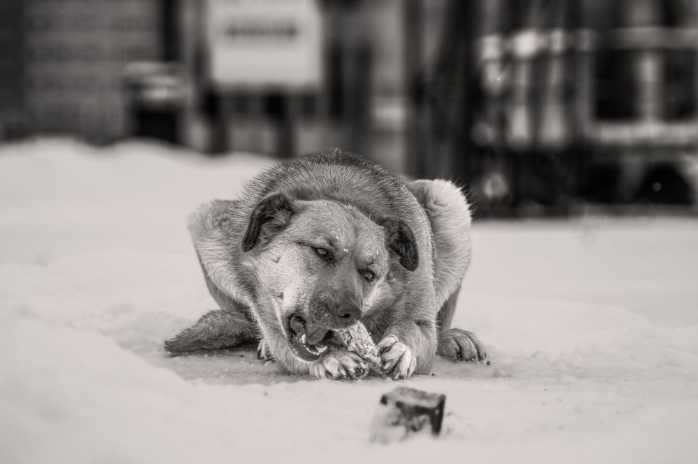 Photograph by Антон Гаврилов