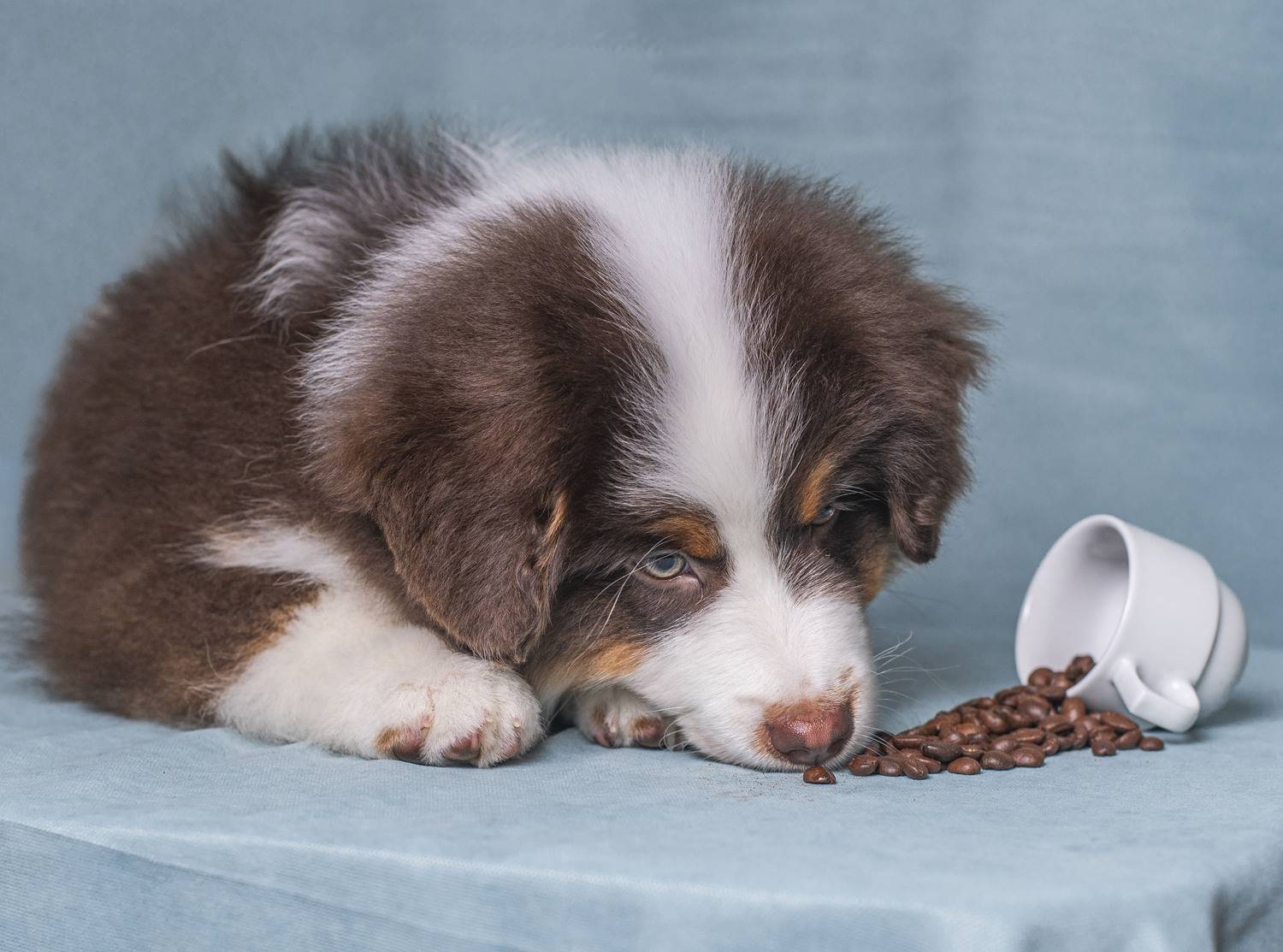 Photo #11738193