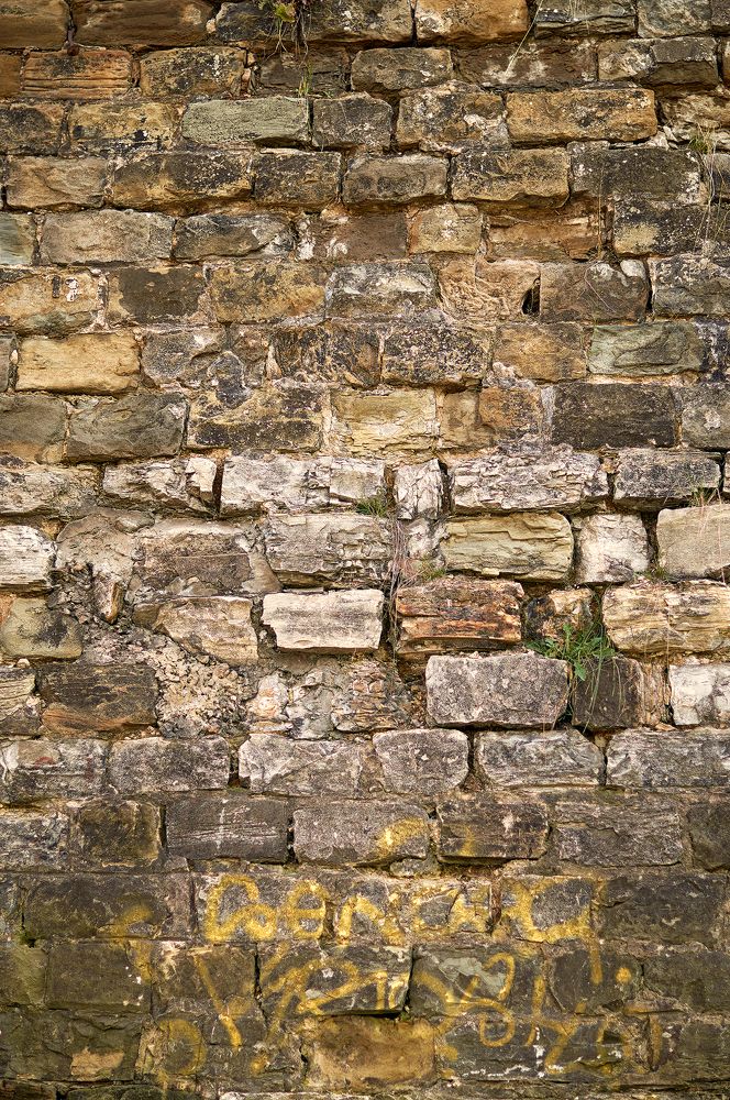 Photograph by Маргарита Гасец