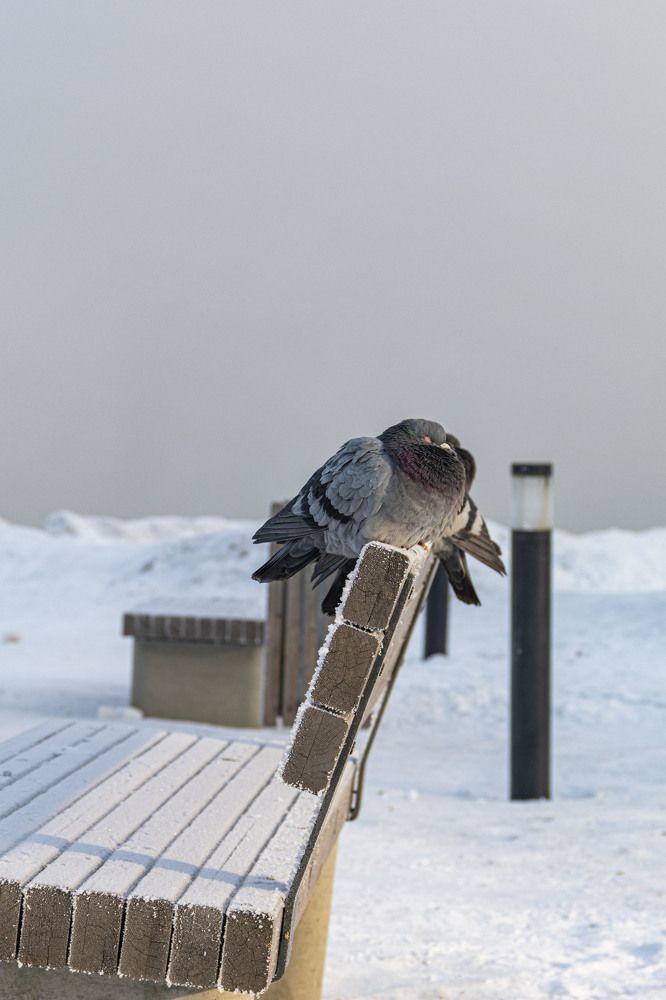 Photograph by Мария