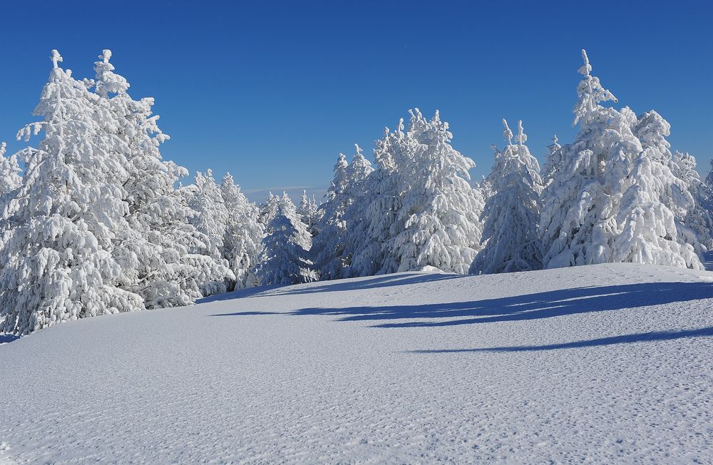 Photograph by Сергей Сережников