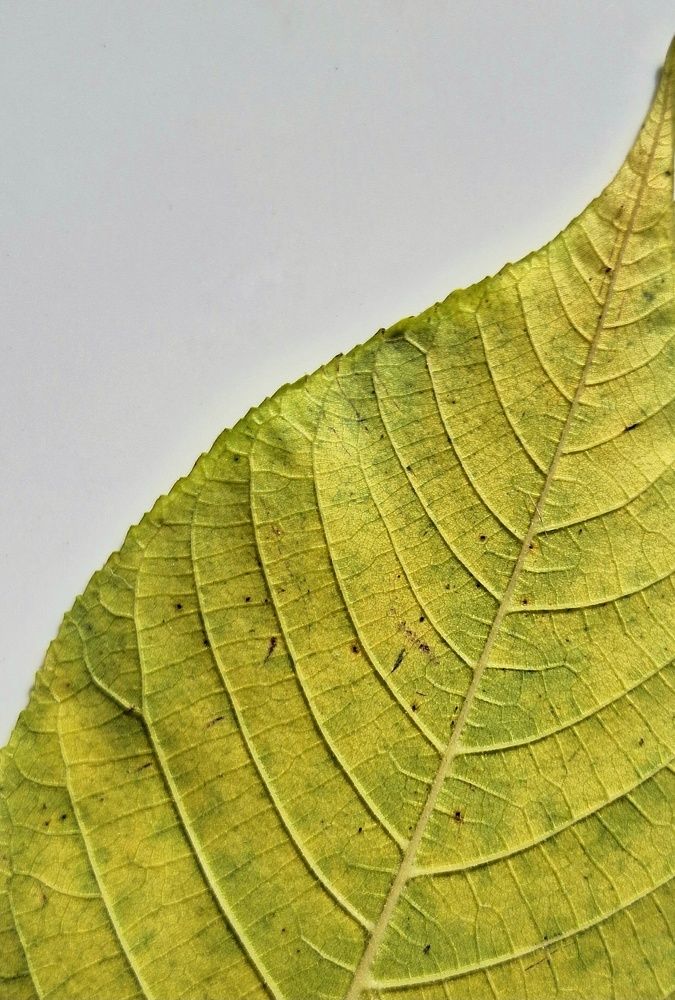 Photograph by Ольга Мольдон