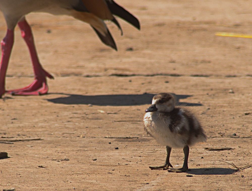 Photograph by Igor Shulkin