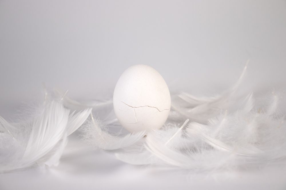 Фотография автора Дарья Обидина