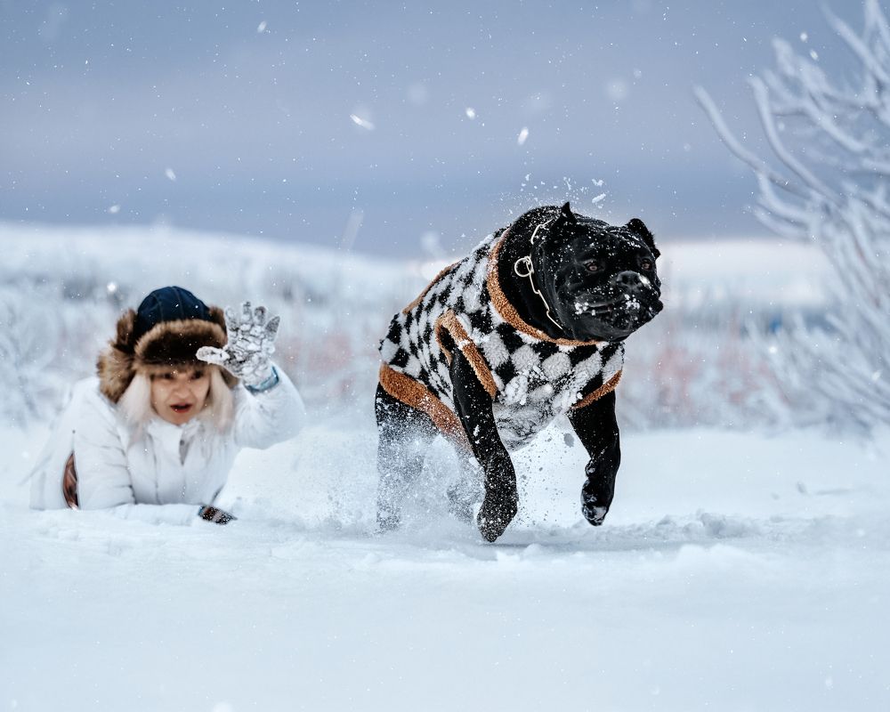 Фотография автора Ольга