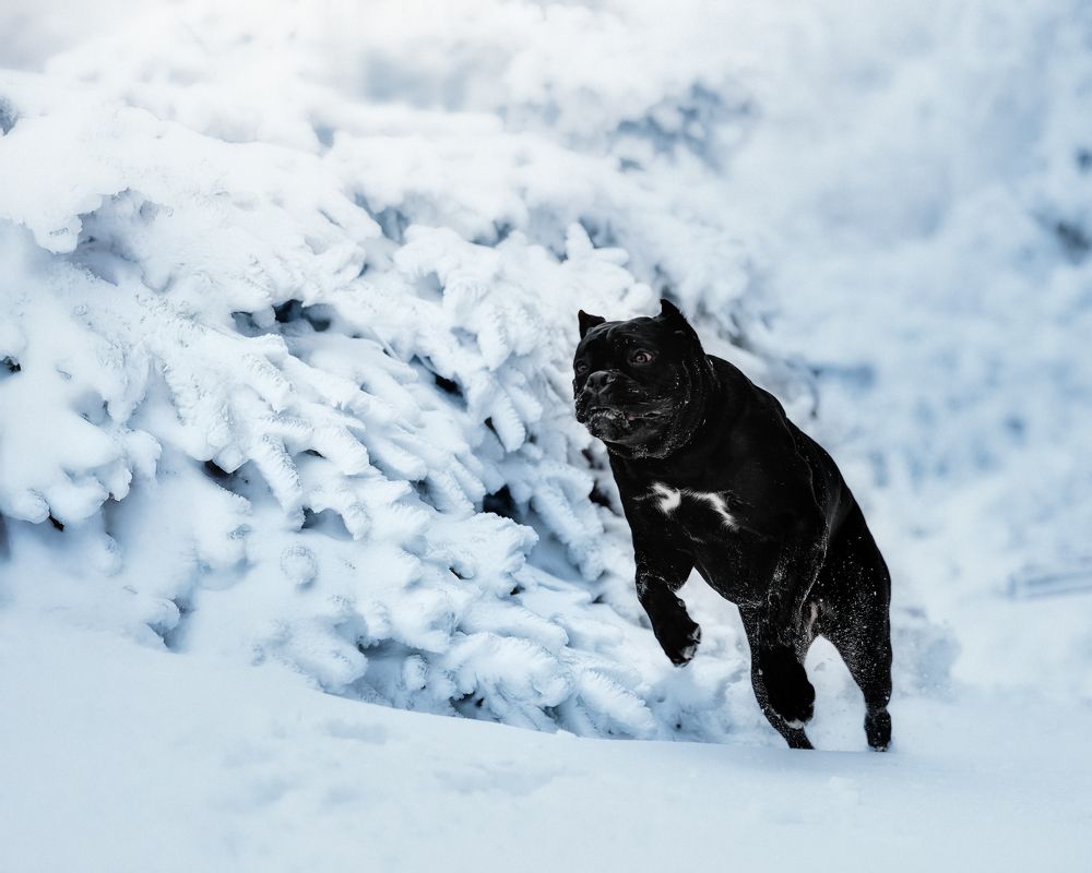 Фотография автора Ольга