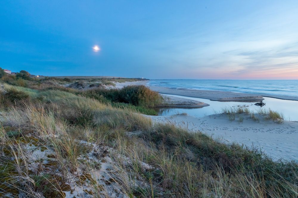 Photograph by Константин Чижов