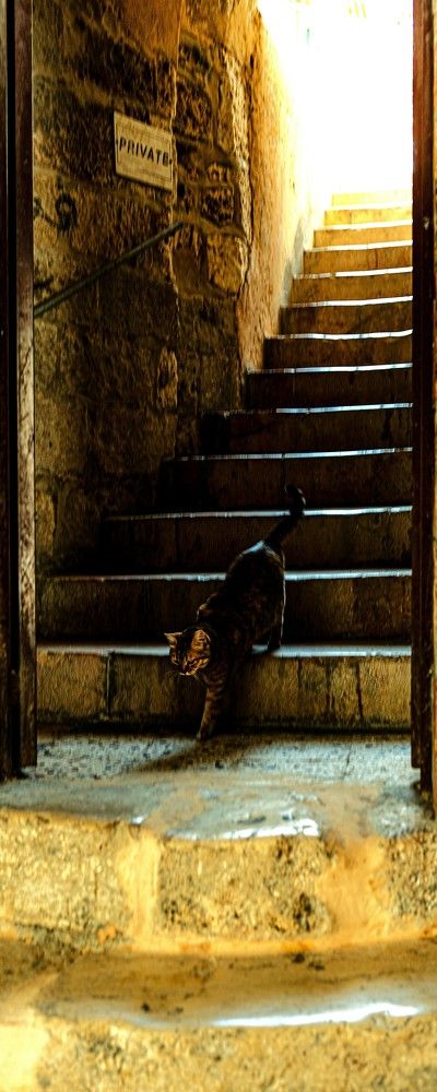 Photograph by Igor Shulkin