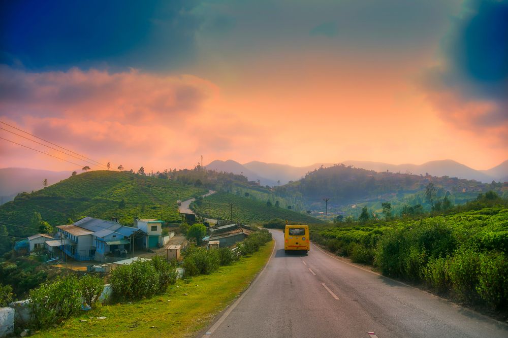 Photograph by Dinesh P