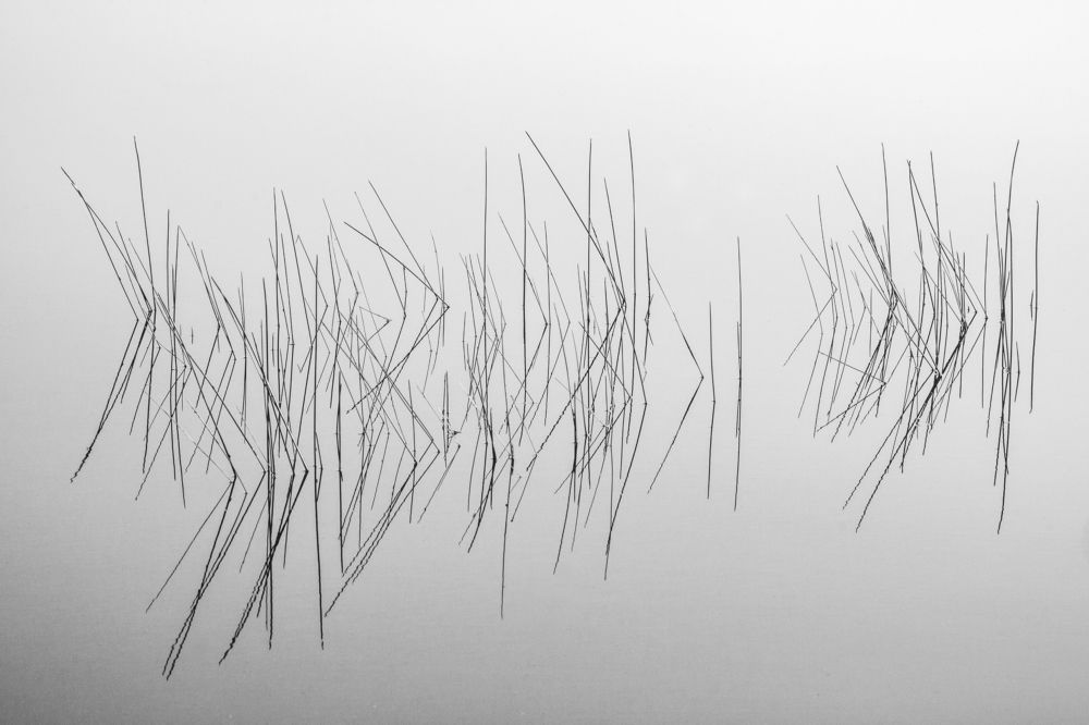 Photograph by Дмитрий Черепков