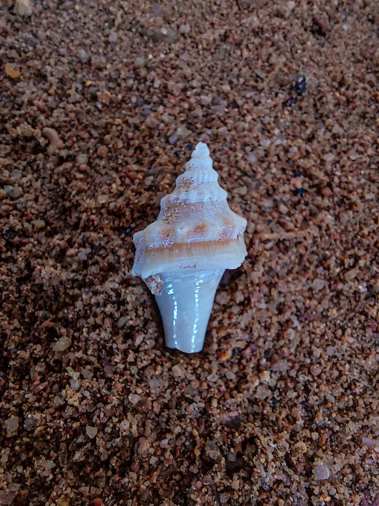 Photograph by Youstina Rowes