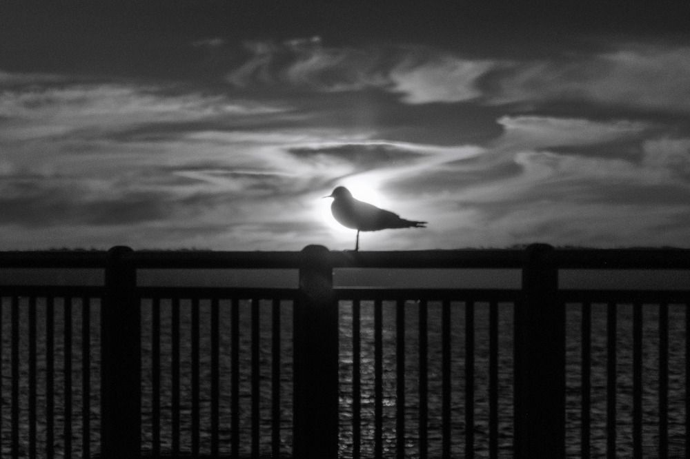 Photograph by Vladimir Petukhov