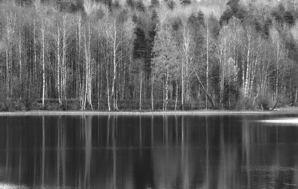 Photograph by Дмитрий Петухов