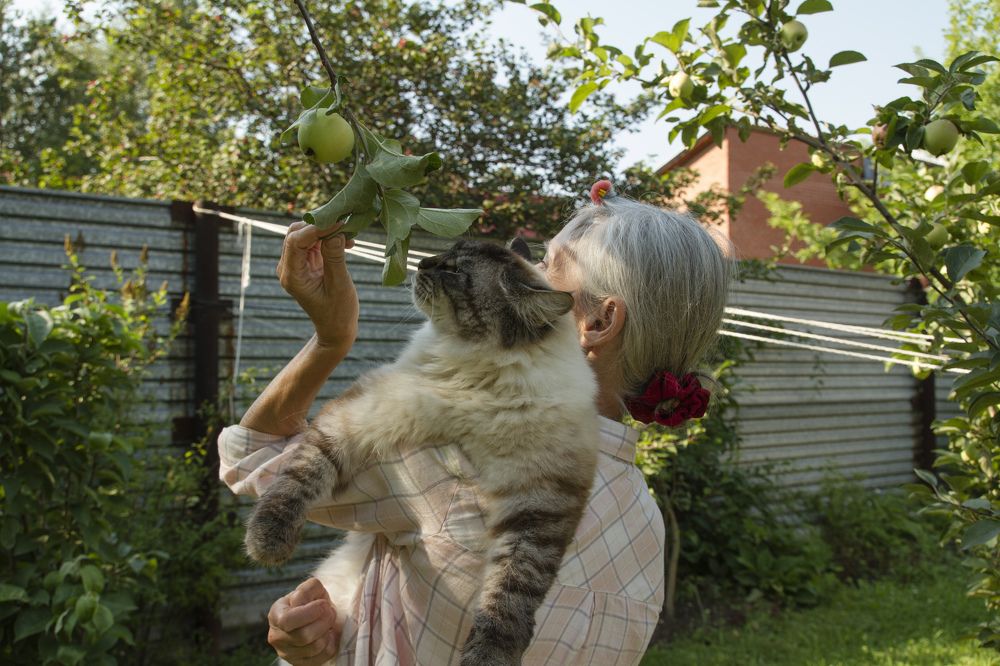 Фотография автора Анастасия Додрова