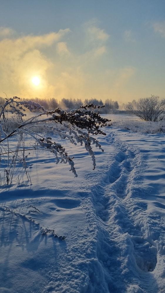 Photograph by Татьяна Устюжанина