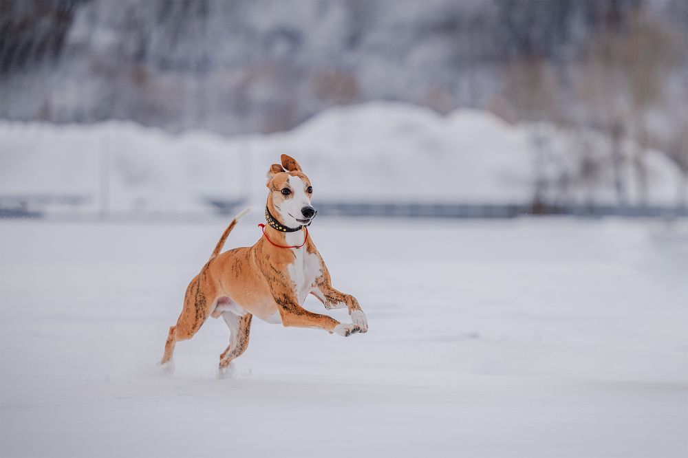 Photograph by Анна