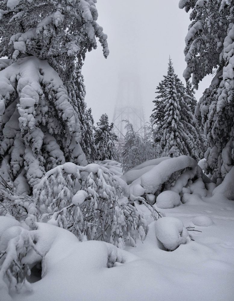 Фотография автора Госпадарёв Александр