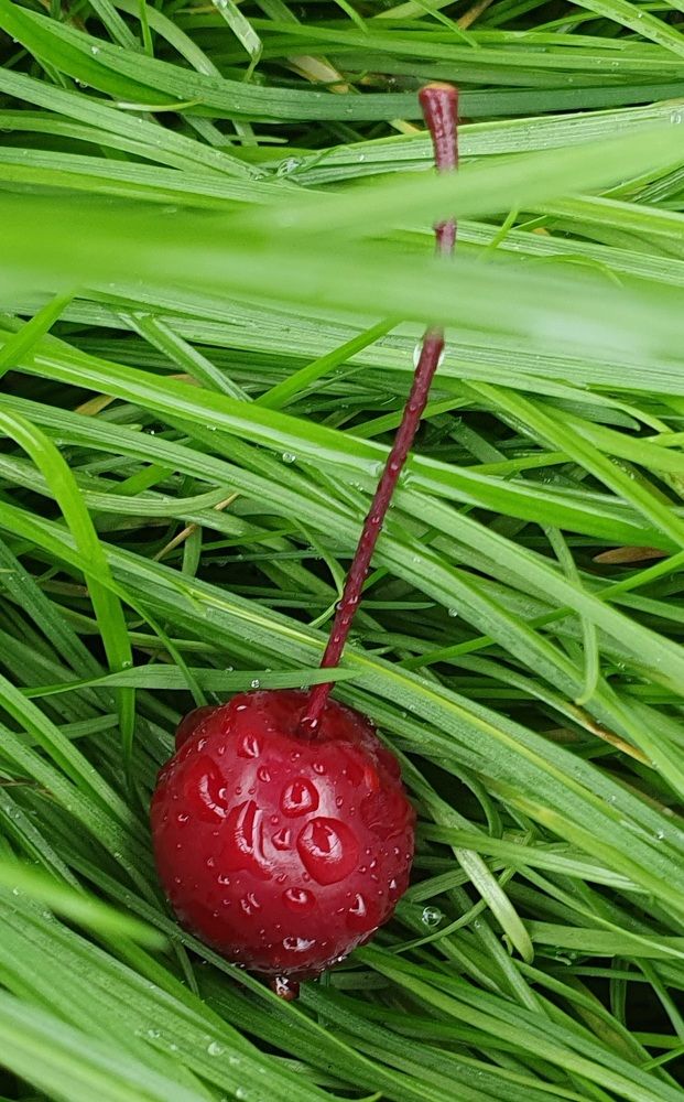 Photograph by Жанна Регор