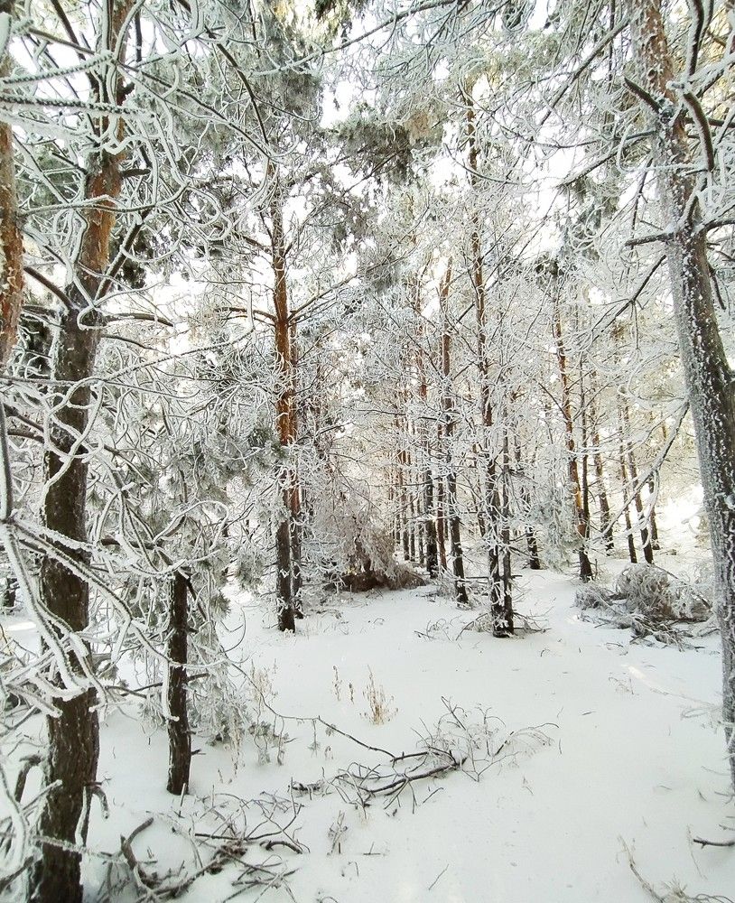 Фотография автора Елена Александрова
