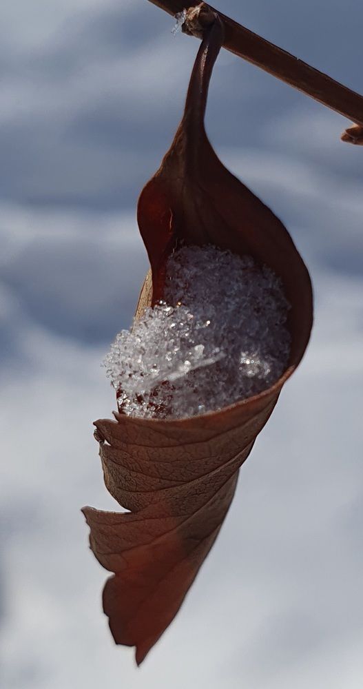 Photograph by Жанна Регор