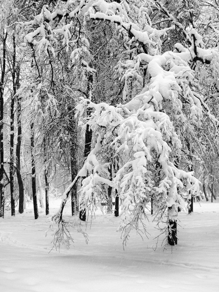 Photograph by Михаил Малец